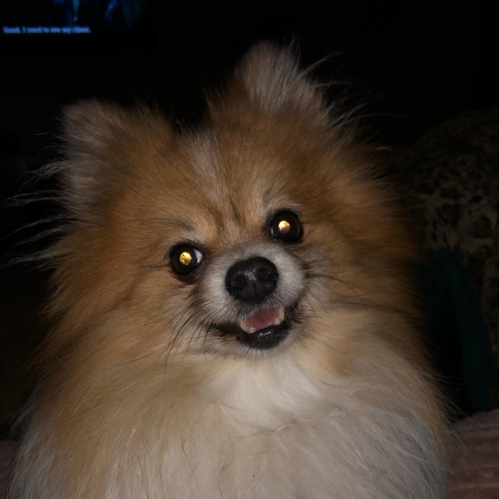 Meet your Posher, Kenneddie